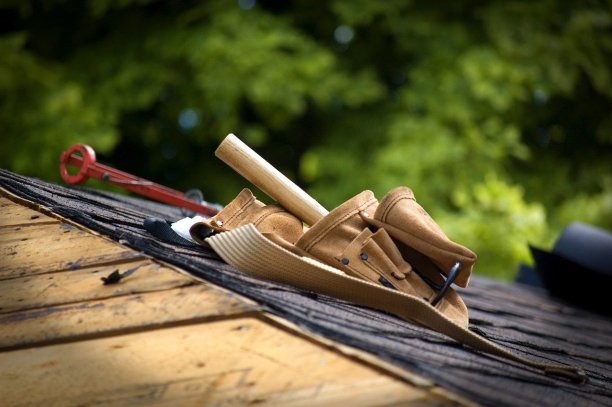 roof-repair Experts in Annapolis